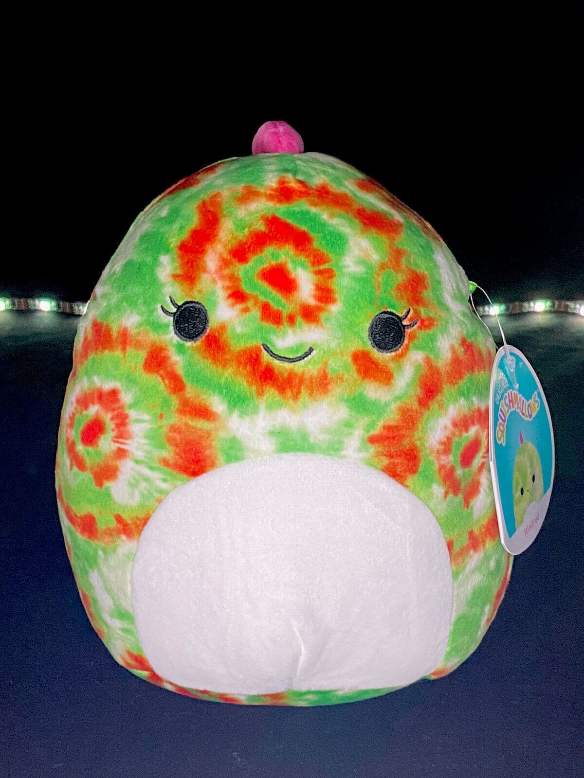 Squishmallow 8" Winifred the Chameleon Plush | Sweet Magnolia Charms.