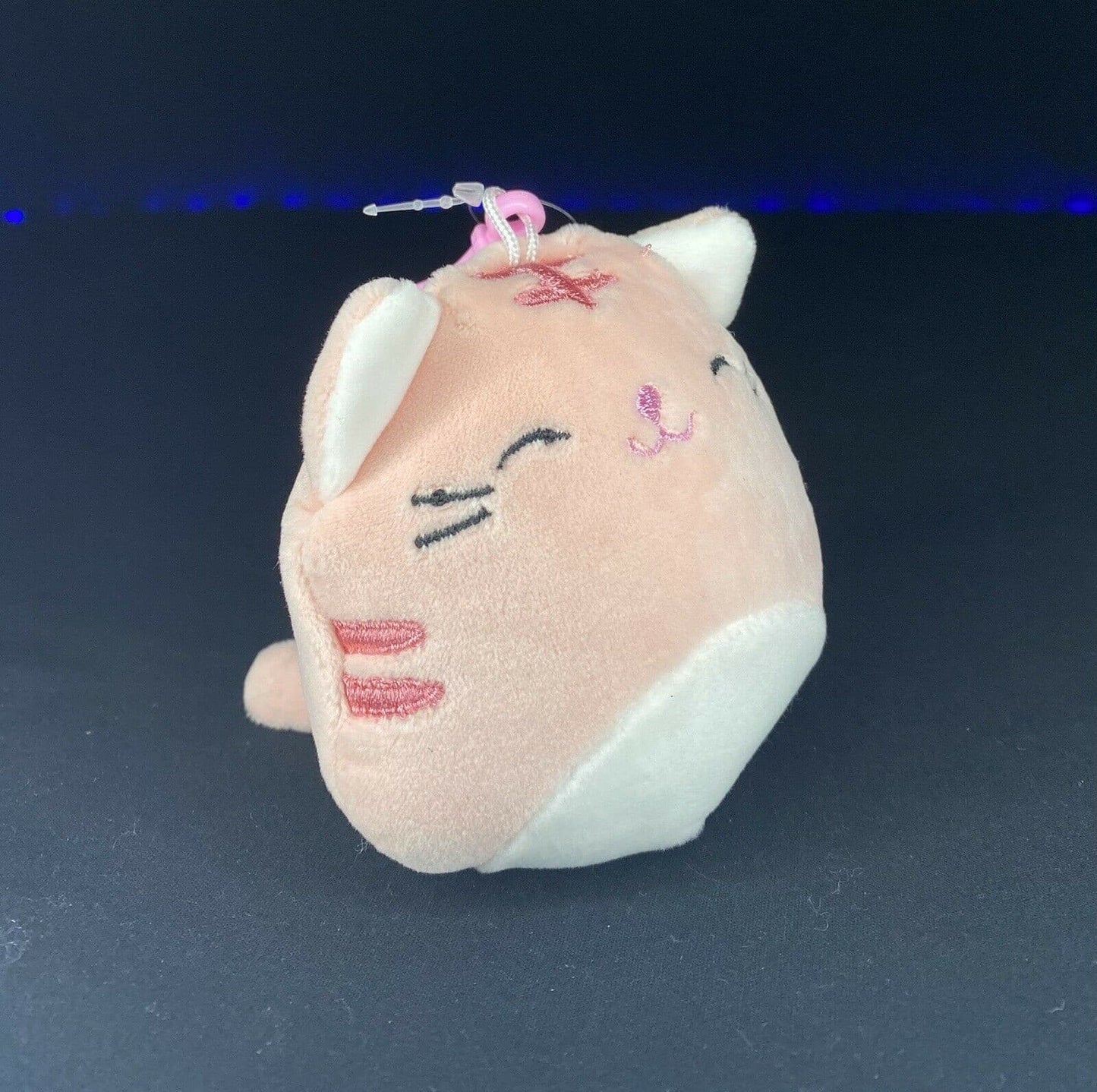 Squishmallow 3.5" Clip Paulita the Cat | Sweet Magnolia Charms.