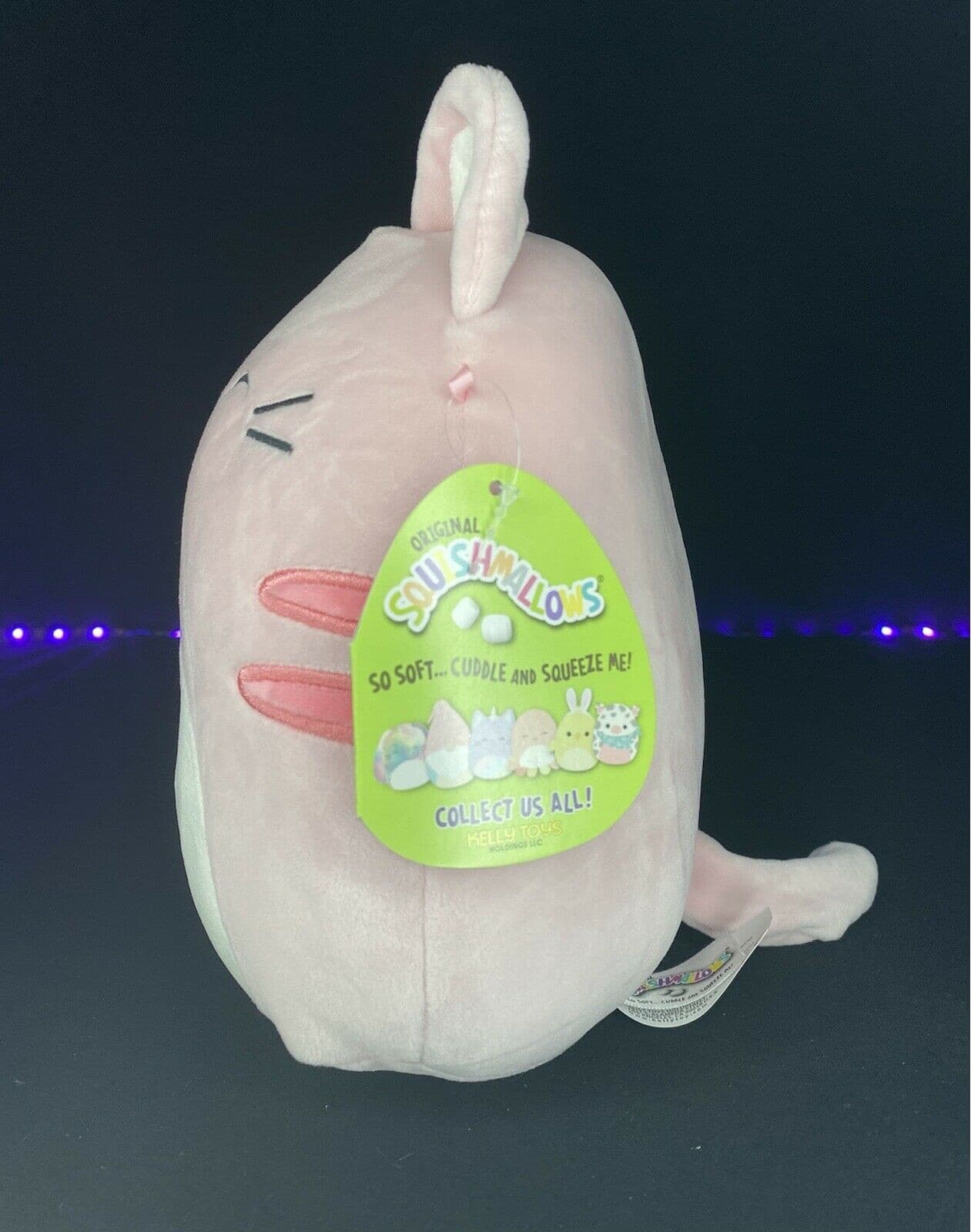 Squishmallows Paulita The PINK CAT Plush NWT 8" New With Tags HTF | Sweet Magnolia Charms.