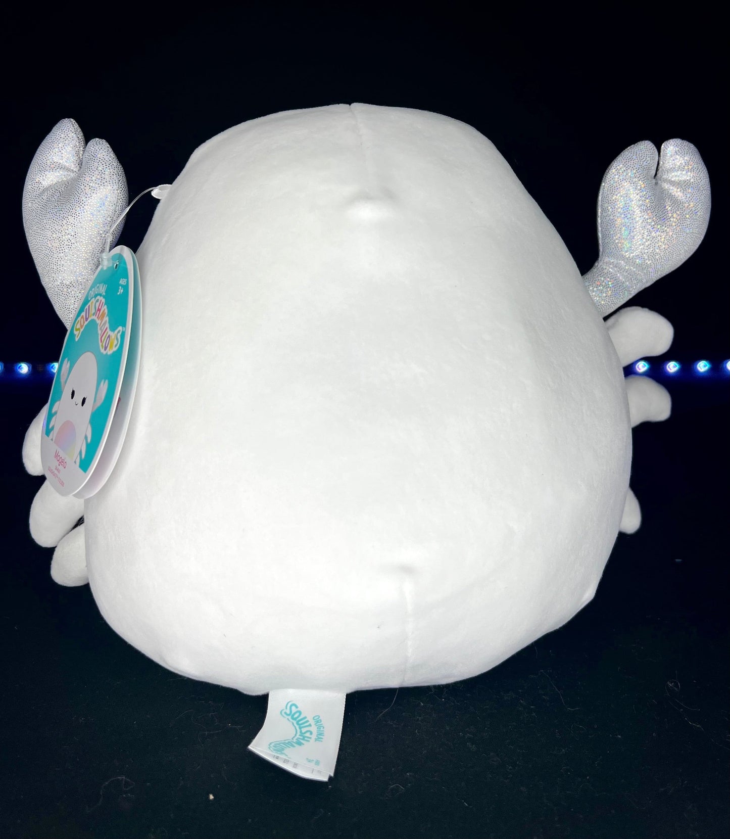 Squishmallow 8” Magela the White Crab Plush | Sweet Magnolia Charms.