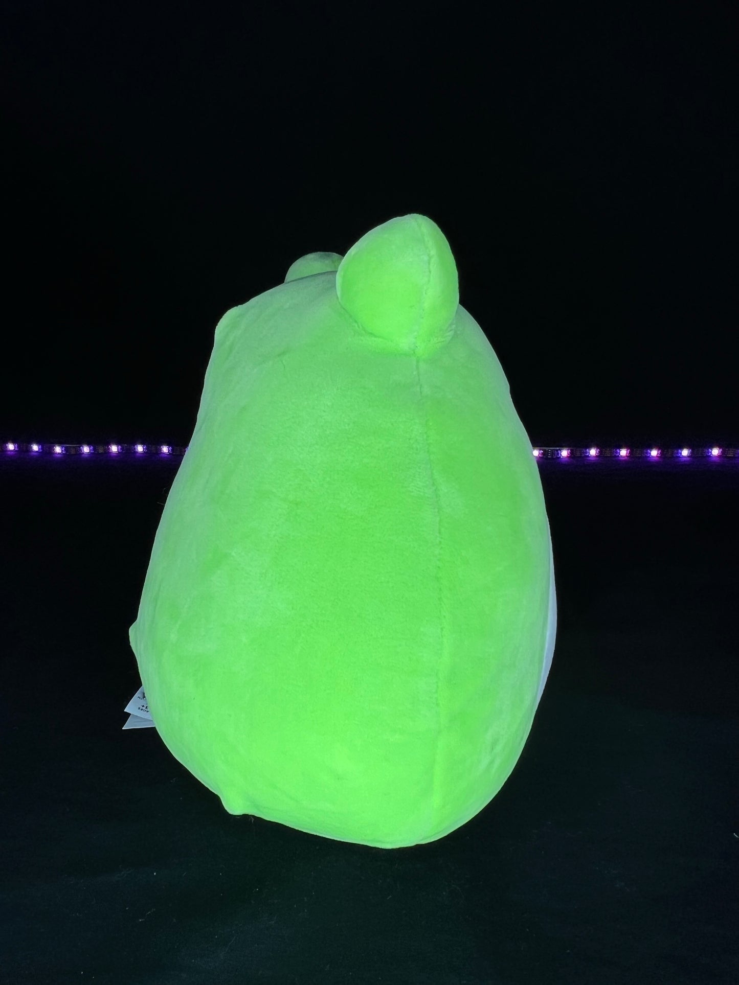 NEW Squishmallow 8” Wendy the Frog Plush | Sweet Magnolia Charms.