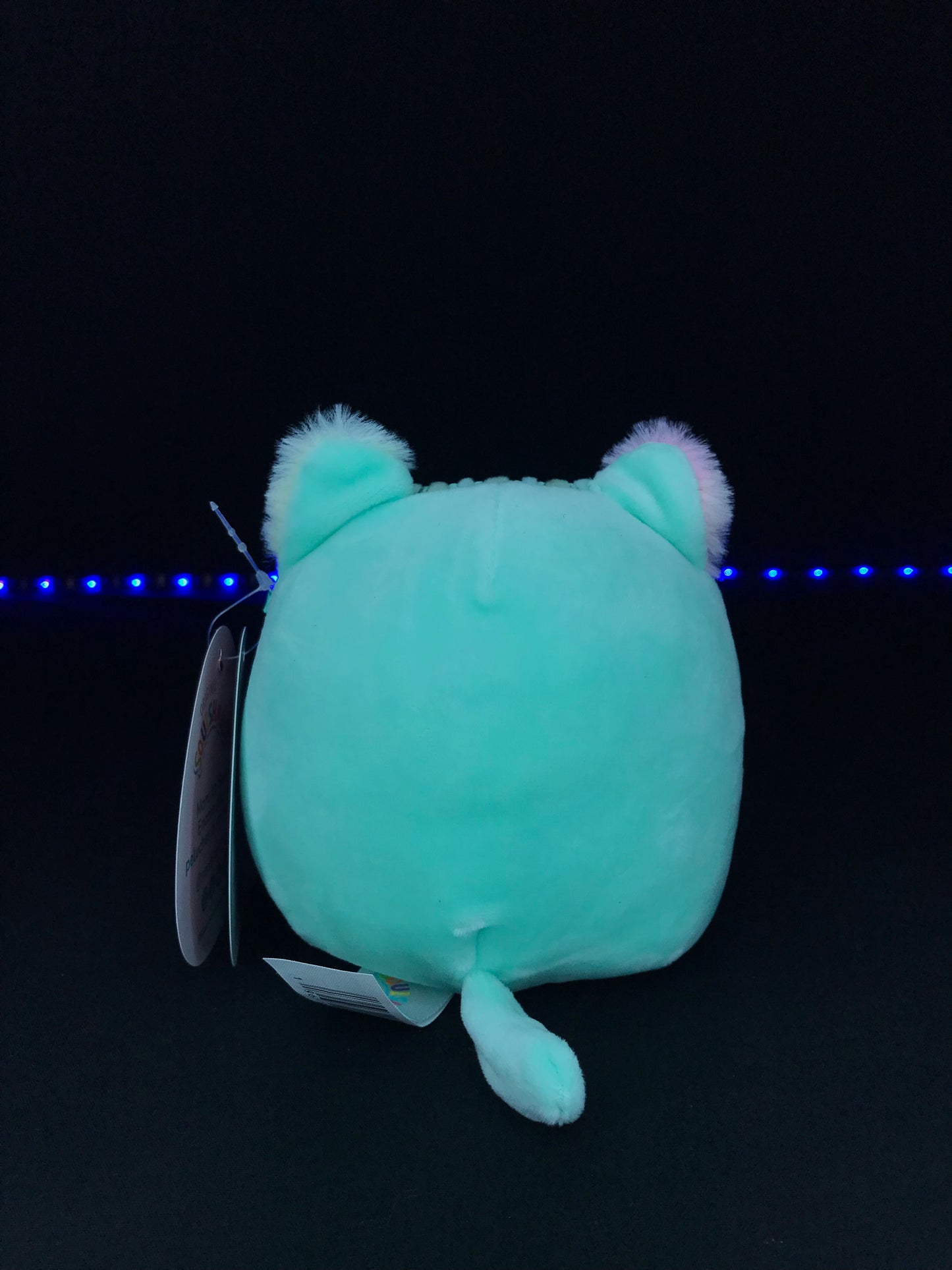 Squishmallow 5” Corinna the Cat