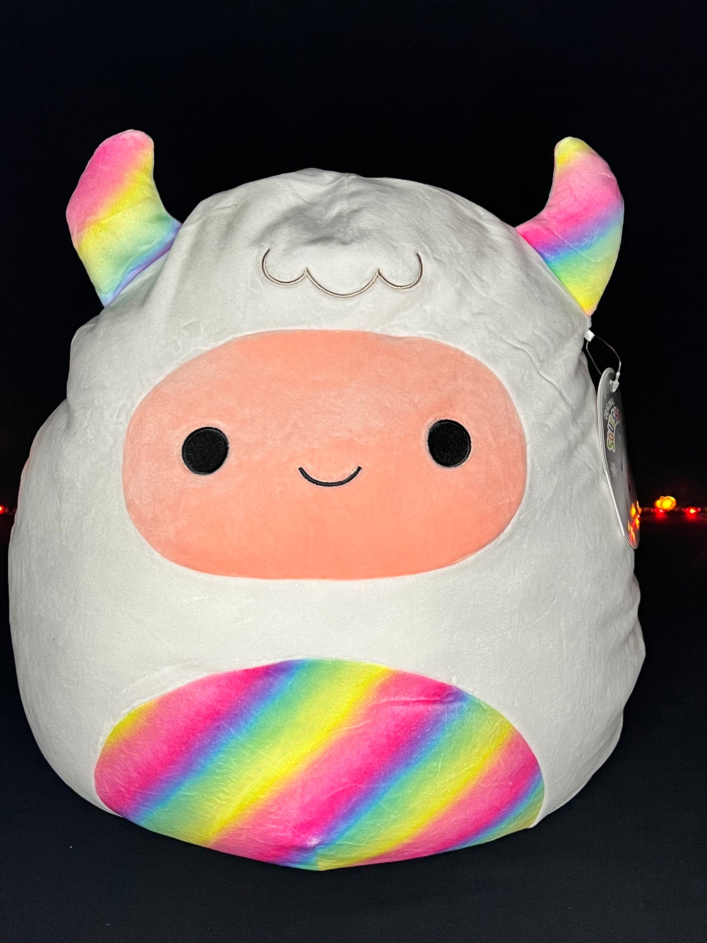 Squishmallow Yuri the Multicolor Yeti.