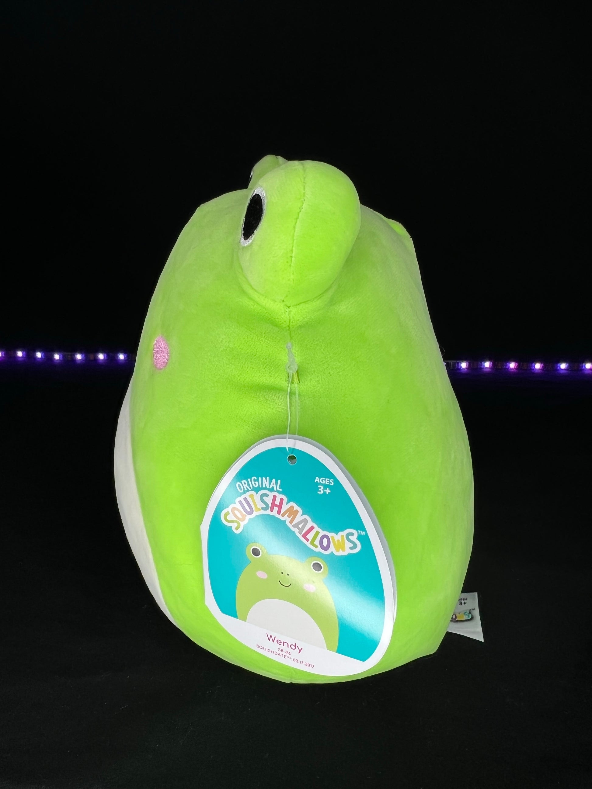 NEW Squishmallow 8” Wendy the Frog Plush | Sweet Magnolia Charms.
