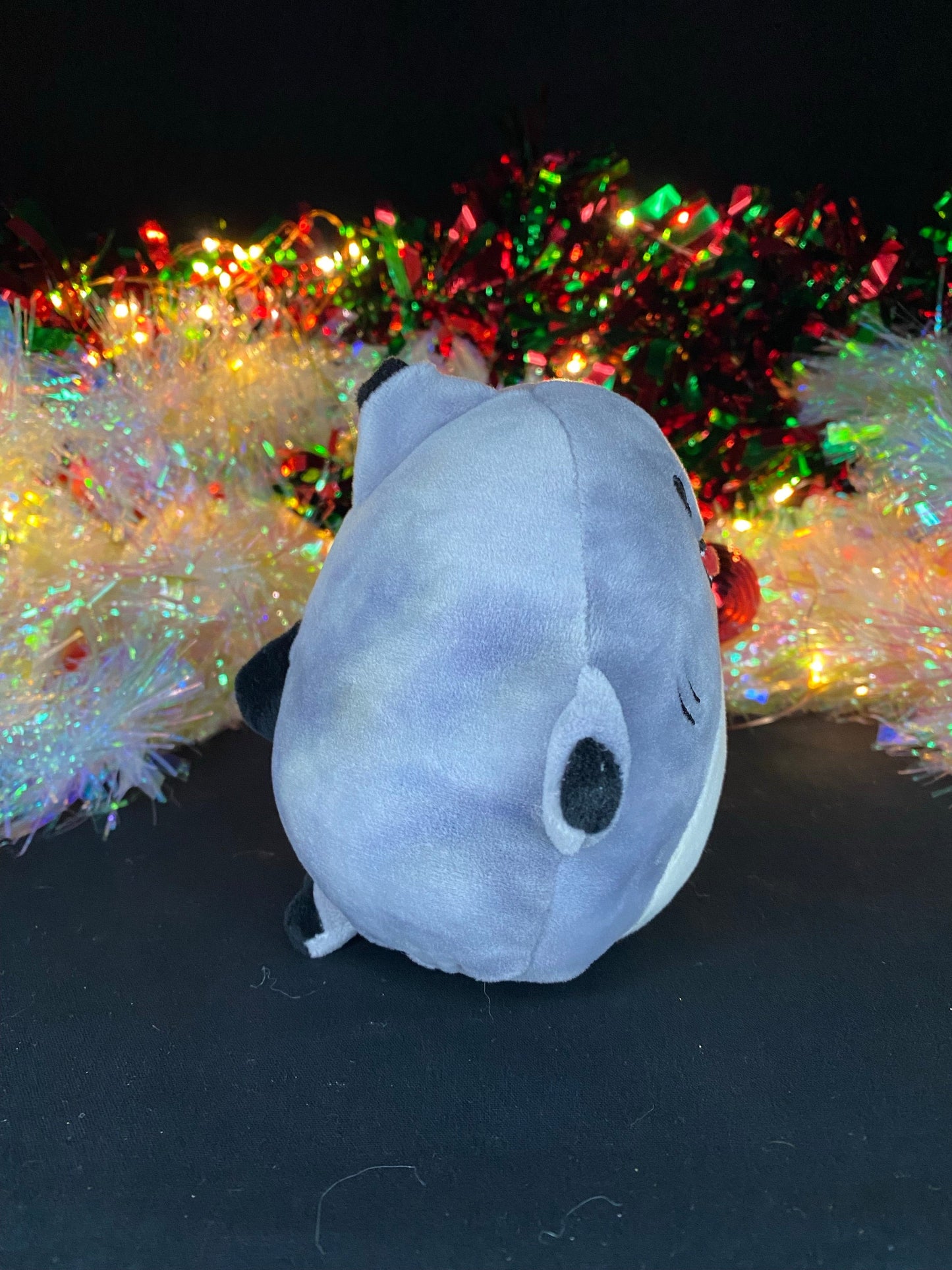 Squishmallow 5” Gordon the Shark Plush | Sweet Magnolia Charms.