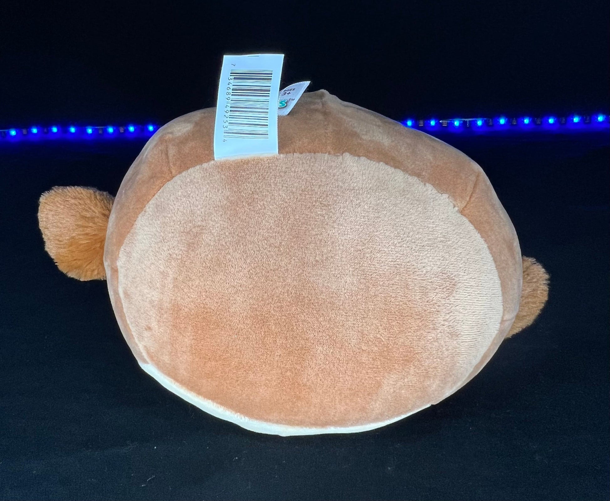 NEW Squishmallow 8” Avery the Mallard Duck Plush | Sweet Magnolia Charms.