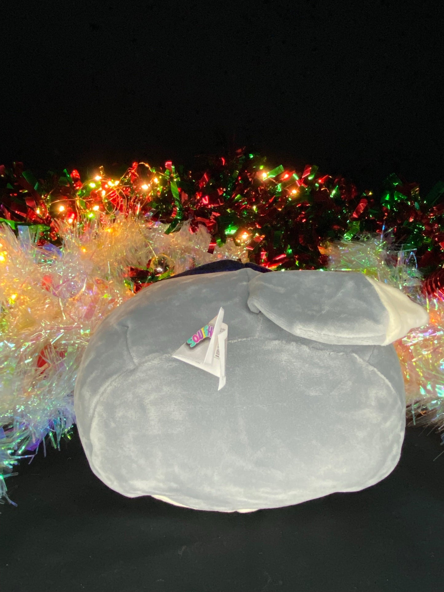 Squishmallow 8” Tilman the Huskey Plush | Sweet Magnolia Charms.