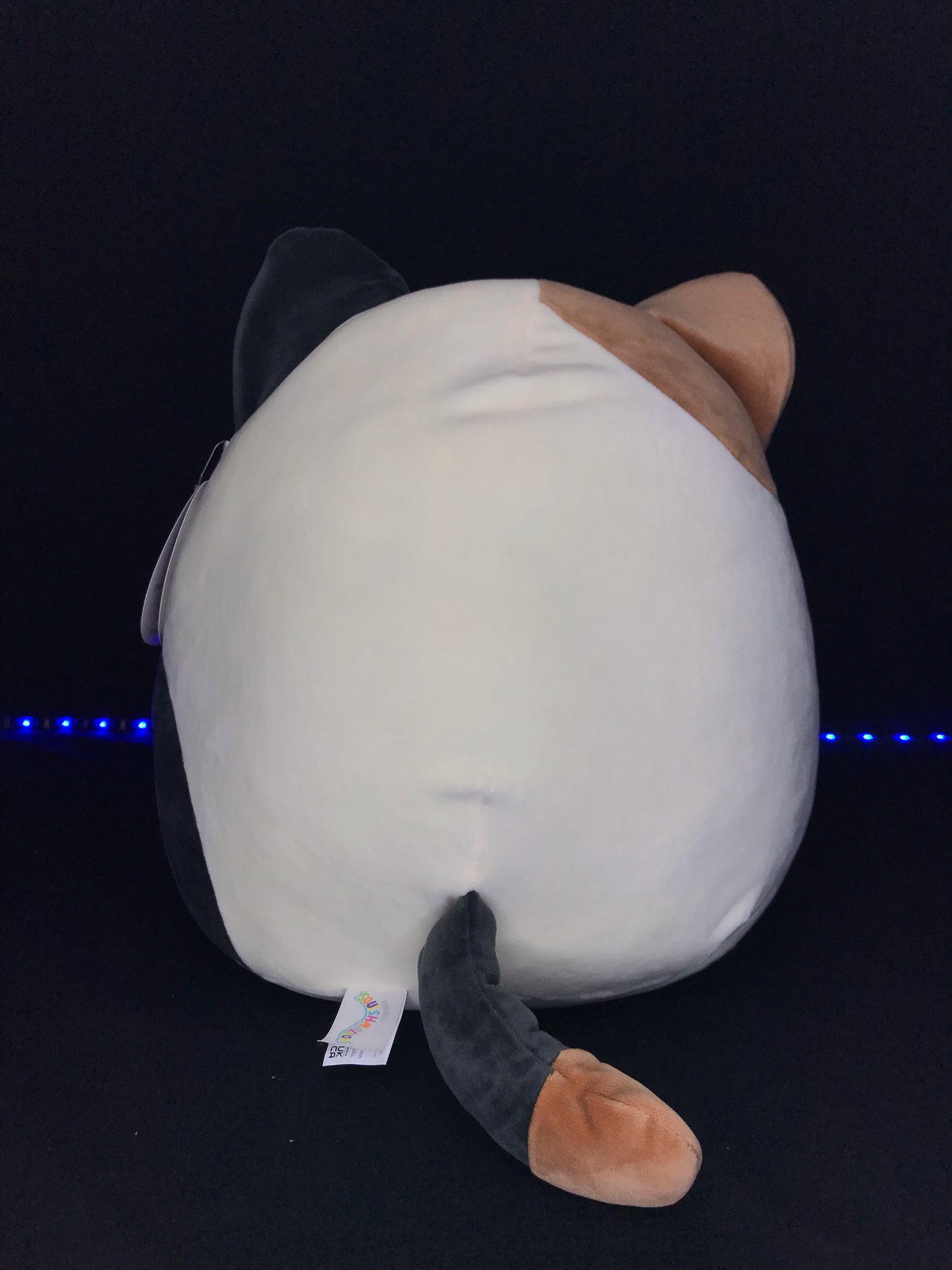 Squishmallow 12” Cam the Cat
