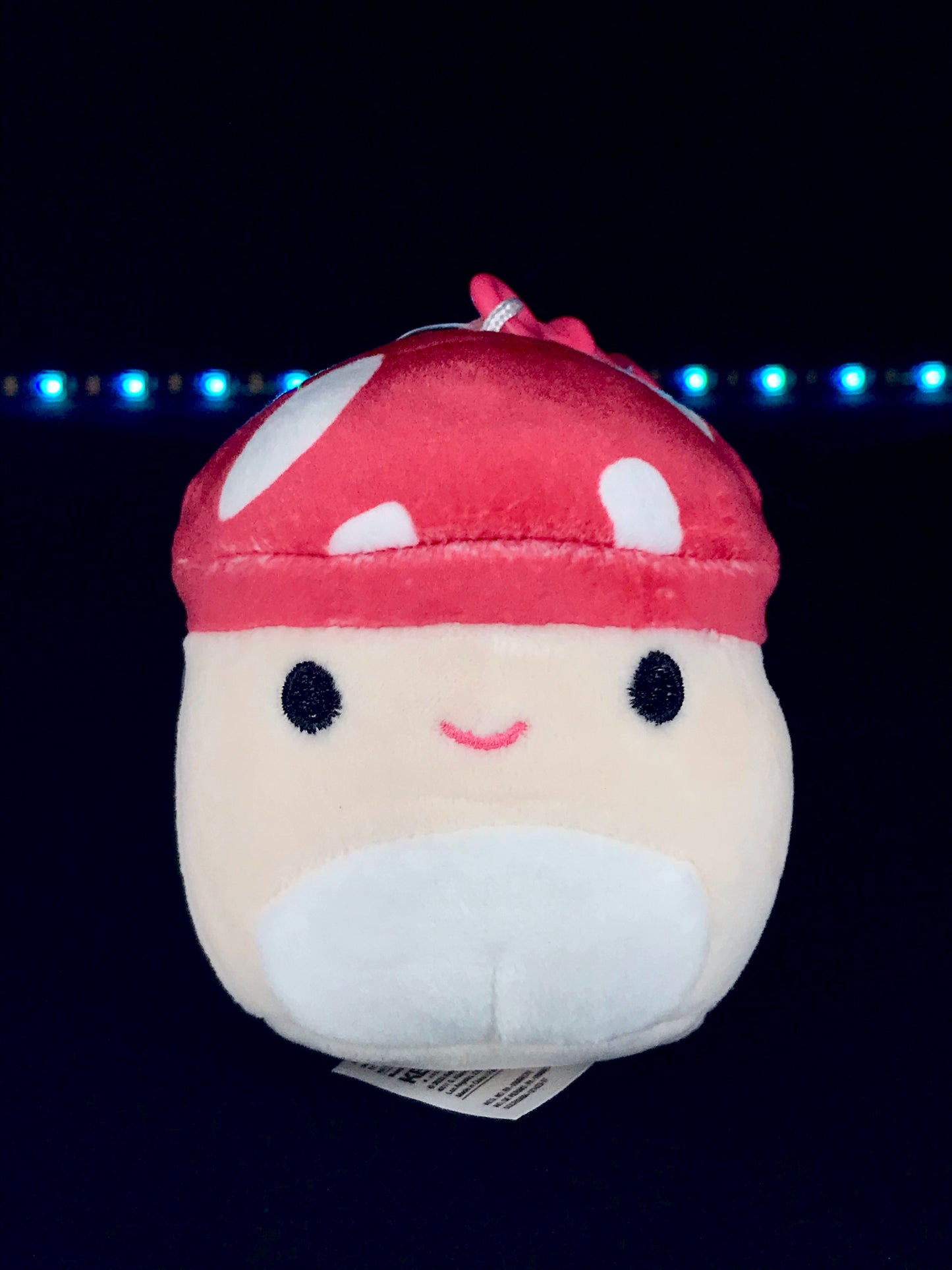 Squishmallow 3.5" Malcolm the Mushroom Clip