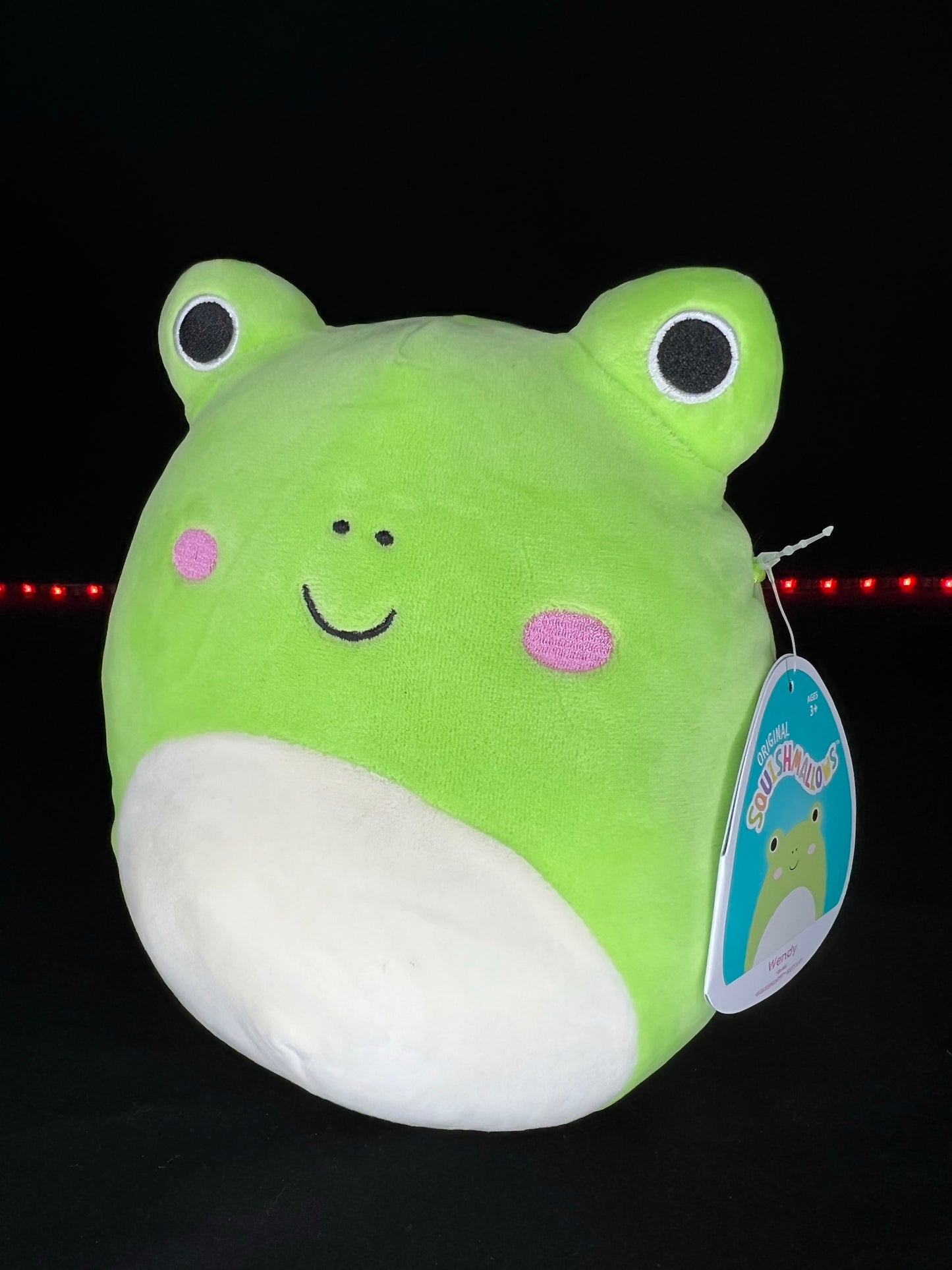 NEW Squishmallow 8” Wendy the Frog Plush | Sweet Magnolia Charms.