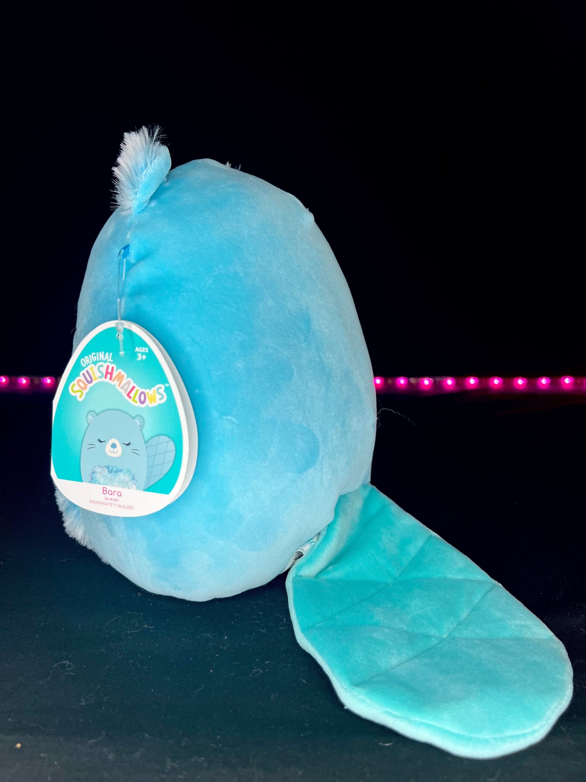 Squishmallow 8” Bara the Beaver Plush | Sweet Magnolia Charms.