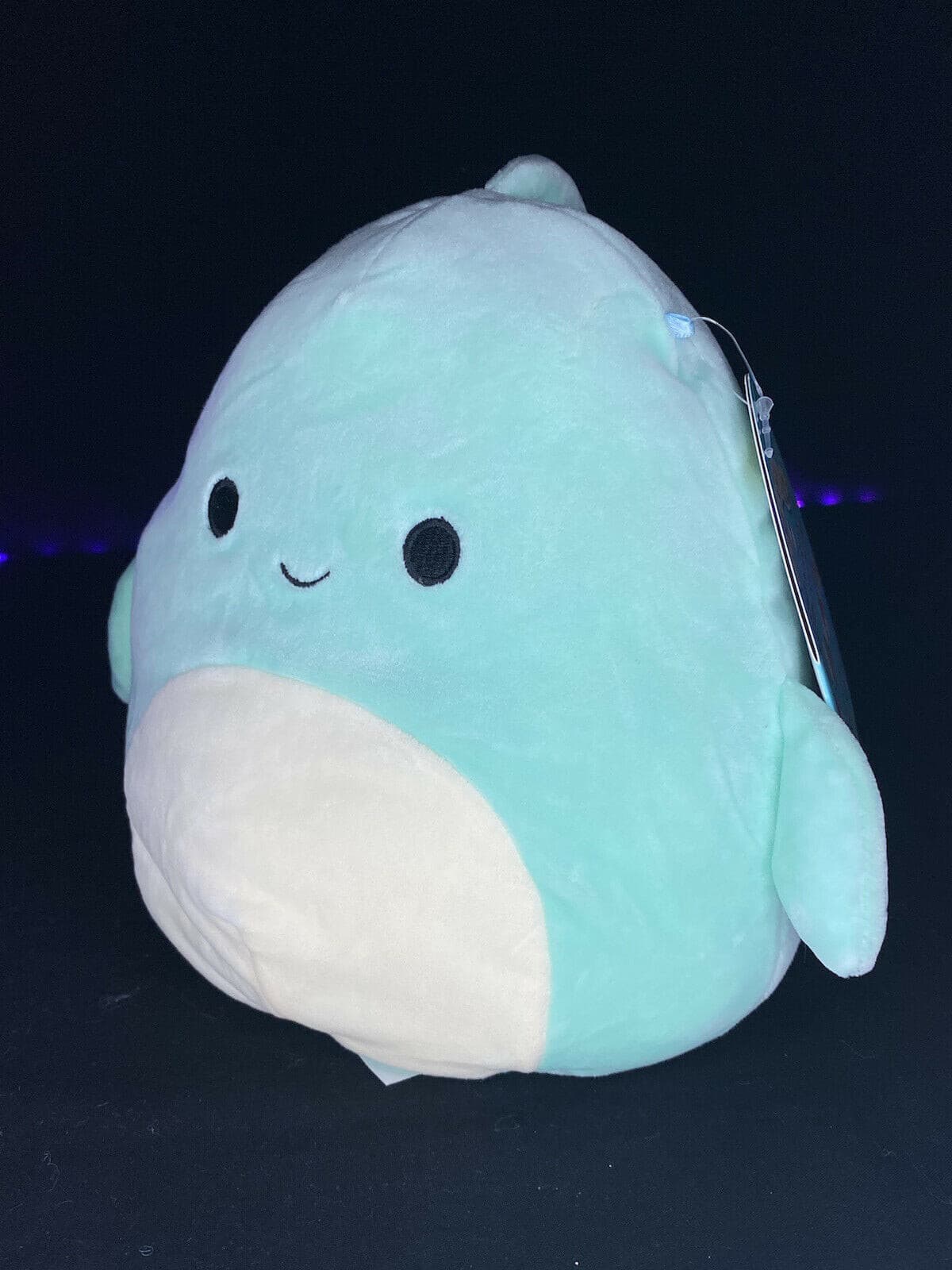 Squishmallow 7” Perry the Dolphin Plush | Sweet Magnolia Charms.