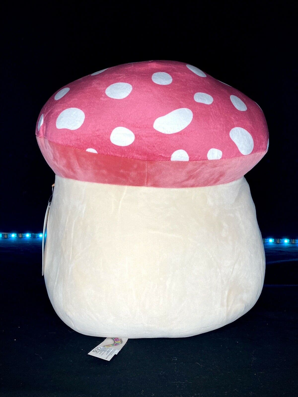 Squishmallow 12” Malcolm the Mushroom Plush | Sweet Magnolia Charms.