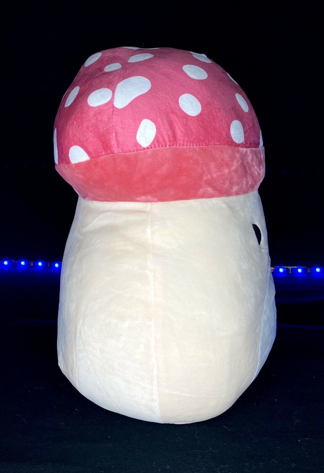 Squishmallow 12” Malcolm the Mushroom Plush | Sweet Magnolia Charms.