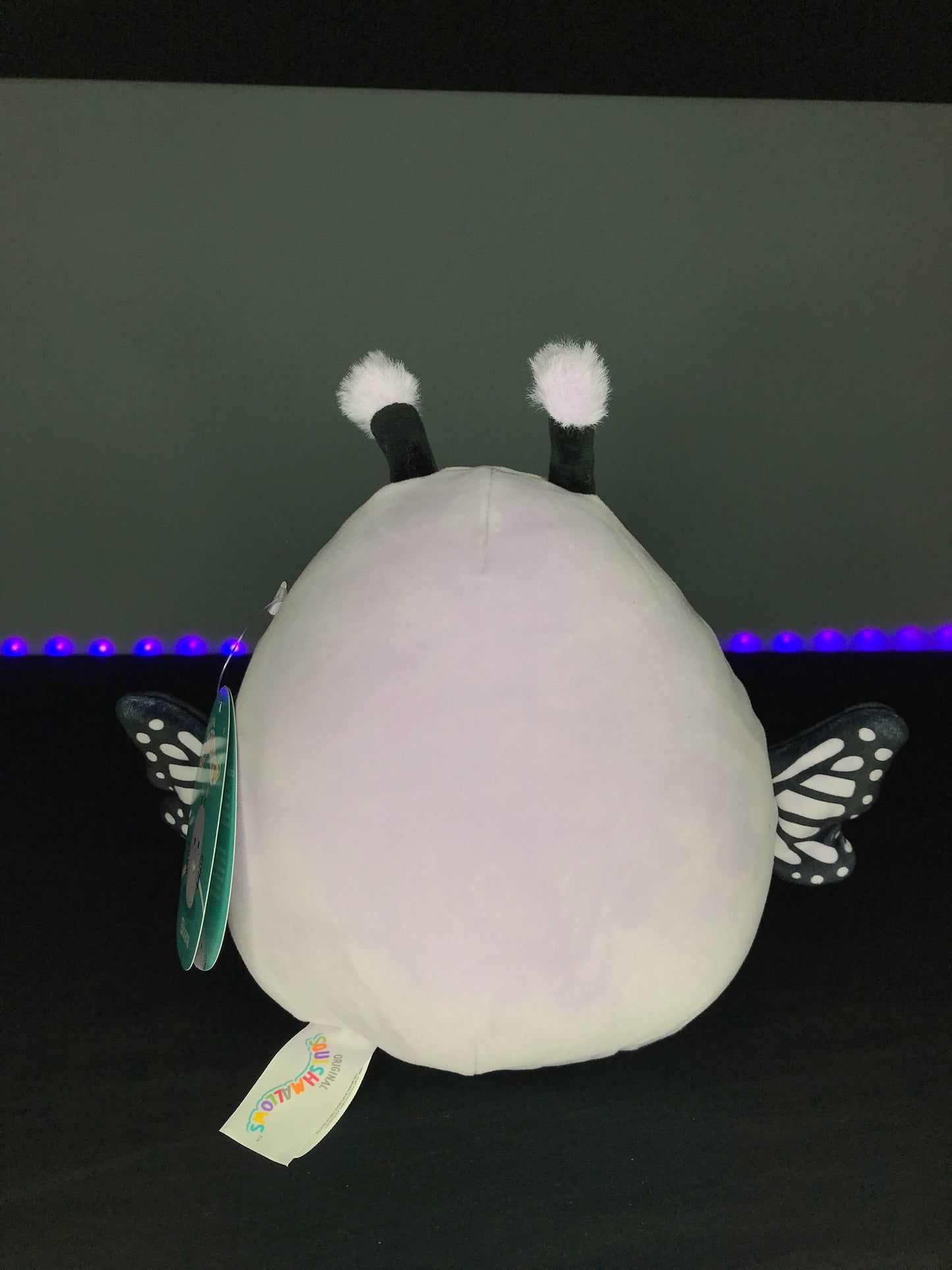 Squishmallow 7” Bibiana the Monarch Butterfly