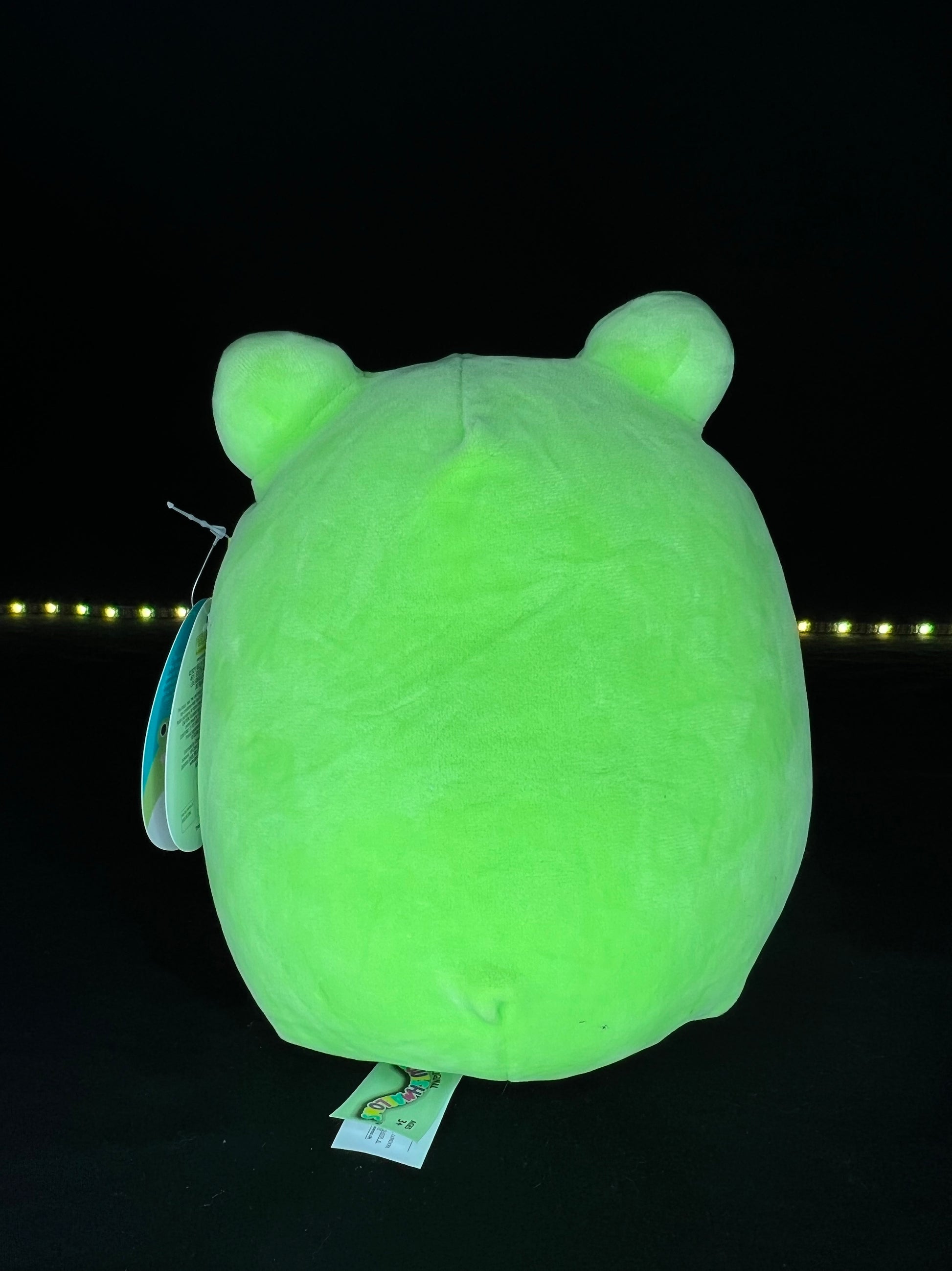 Squishmallow Wendy the Frog Plush