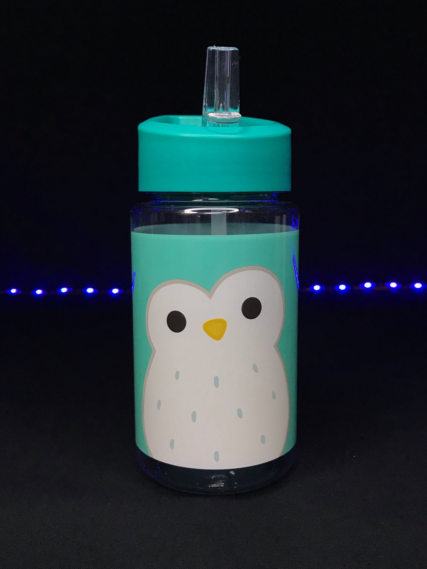 Squishmallow 17oz Collectible Water Bottle