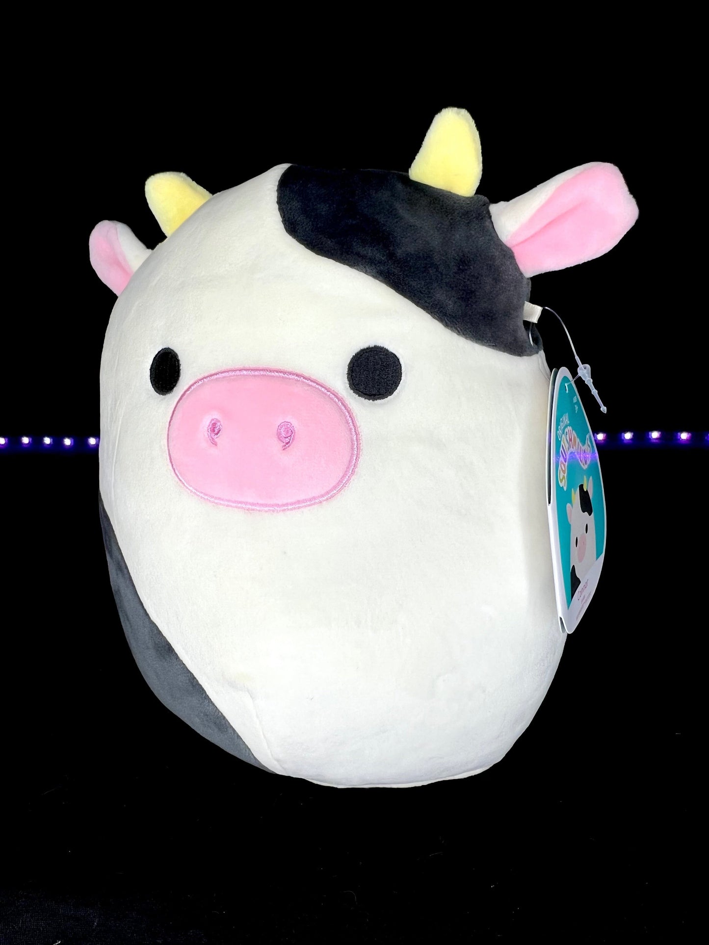 NEW Squishmallow 8” Connor the Cow | Sweet Magnolia Charms.