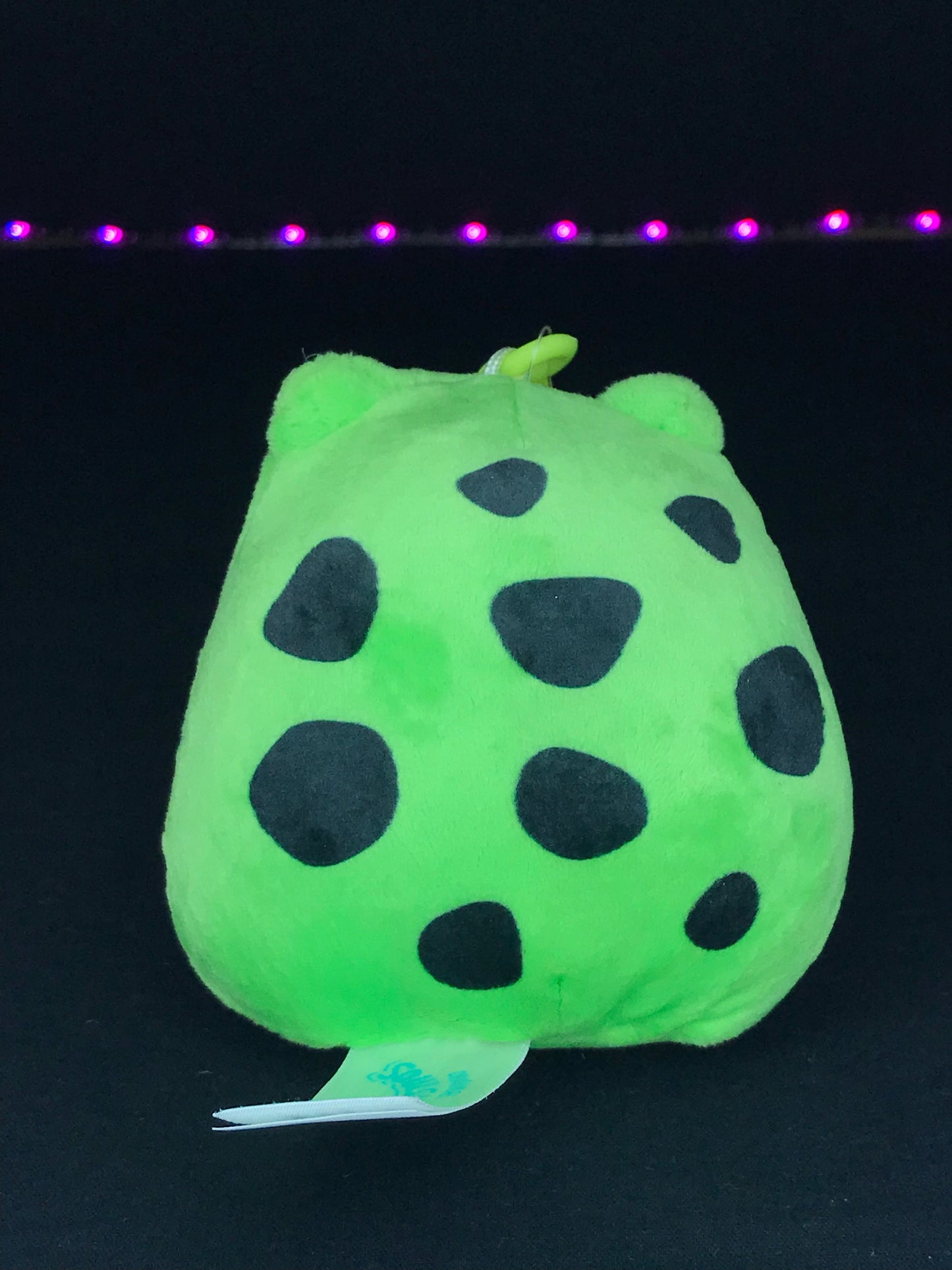 Squishmallow 3.5” Clip Wendy the Frog