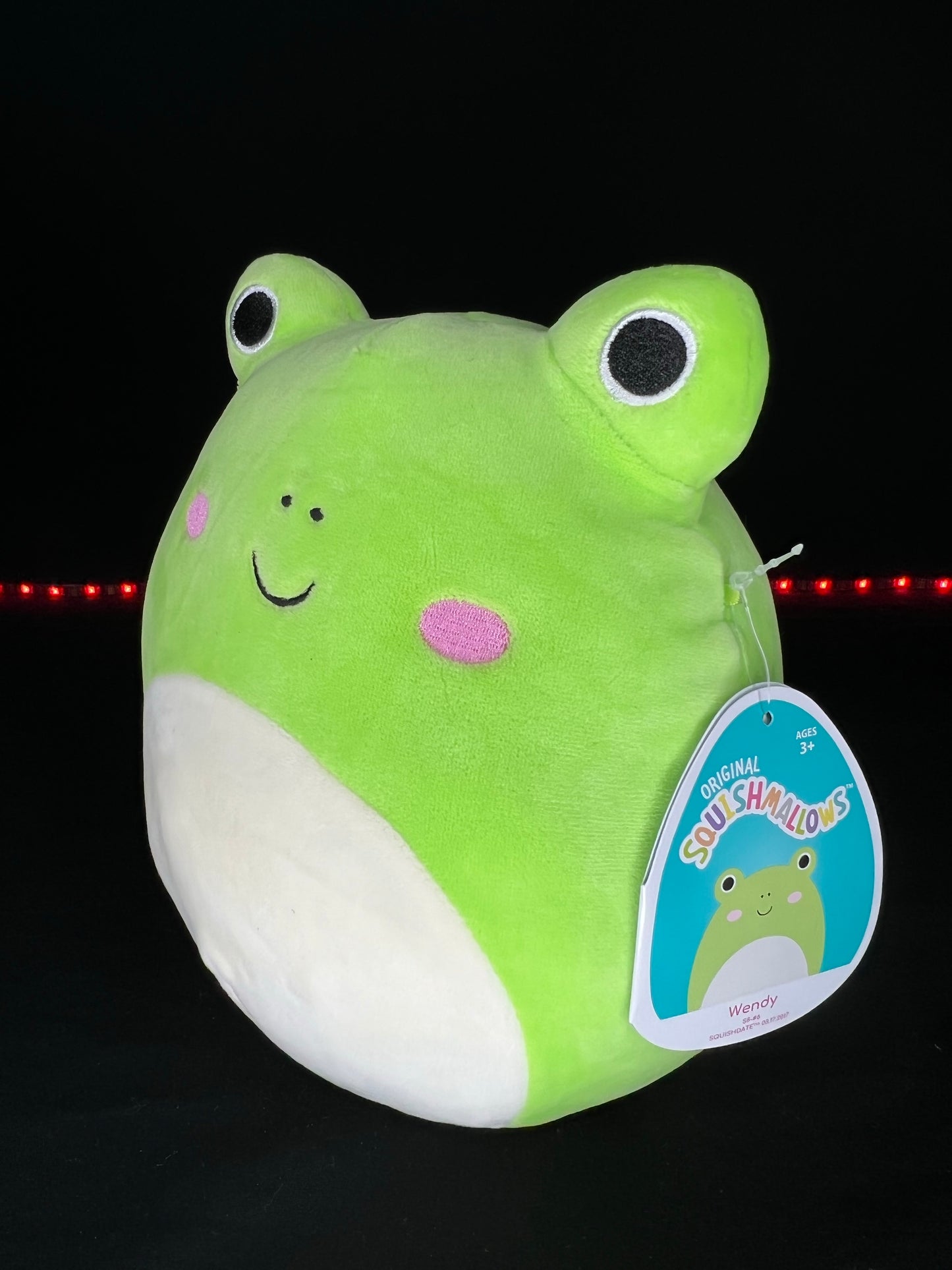 NEW Squishmallow 8” Wendy the Frog Plush | Sweet Magnolia Charms.